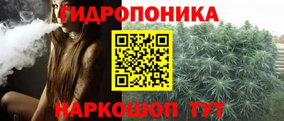 PSILOCYBIN Ирбит