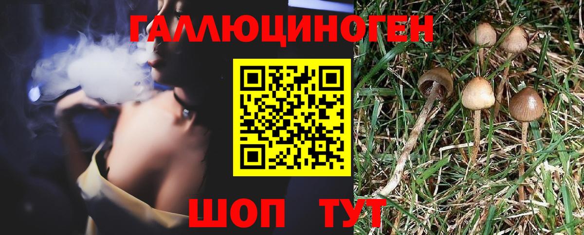 Псилоцибиновые грибы ЛСД Мариинск