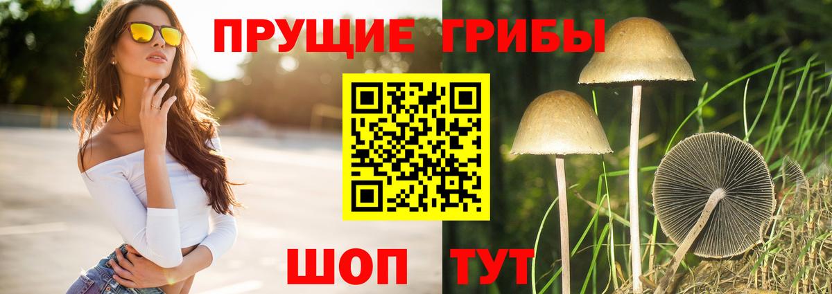 Псилоцибиновые грибы мухоморы  Вход с VPN  Мариинск 